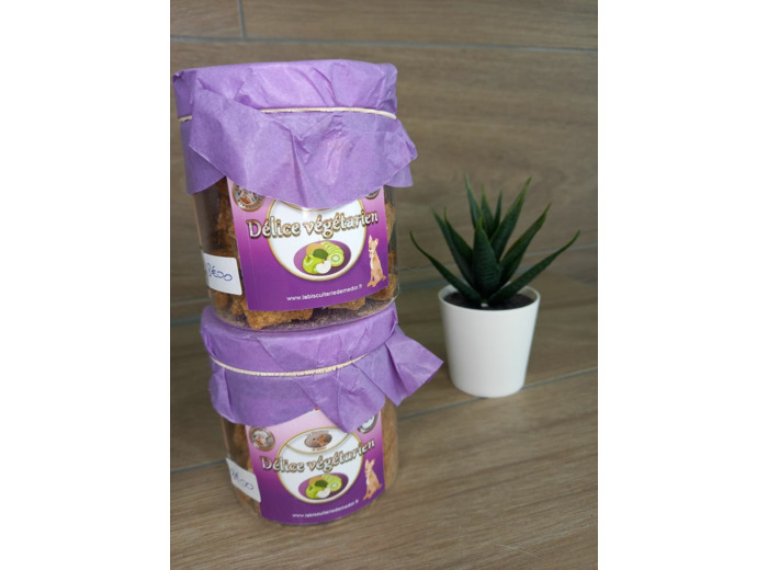 Délice végétarien