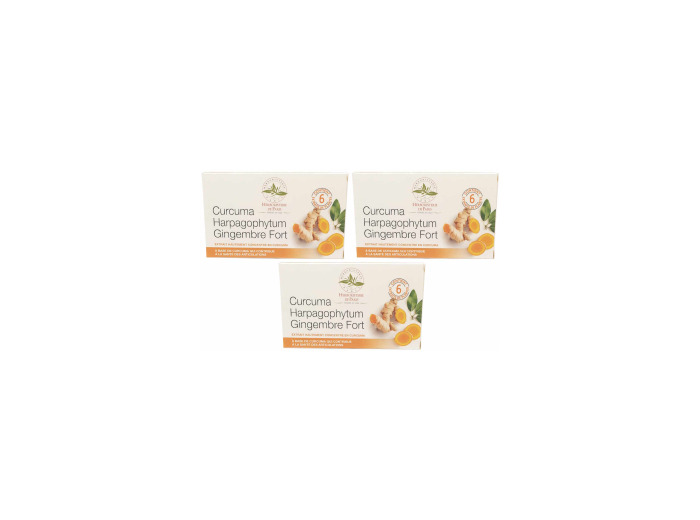 Curcuma Harpagophytum gingembre fort modèle cure de 3 x 60 comprimés