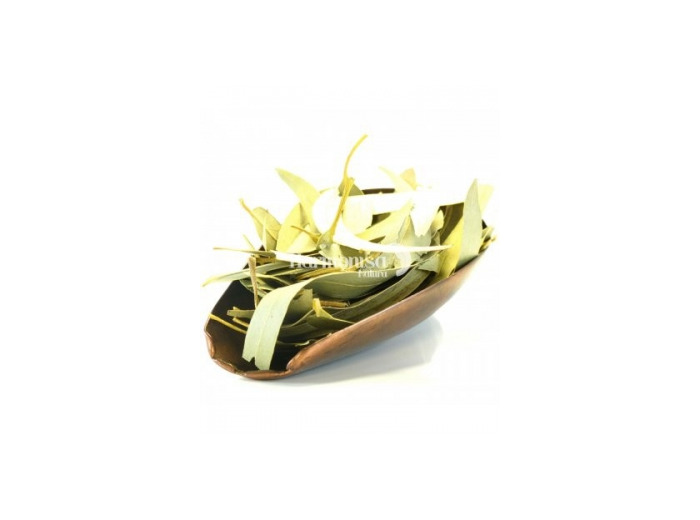 Eucalyptus feuilles entières Bio 100gr