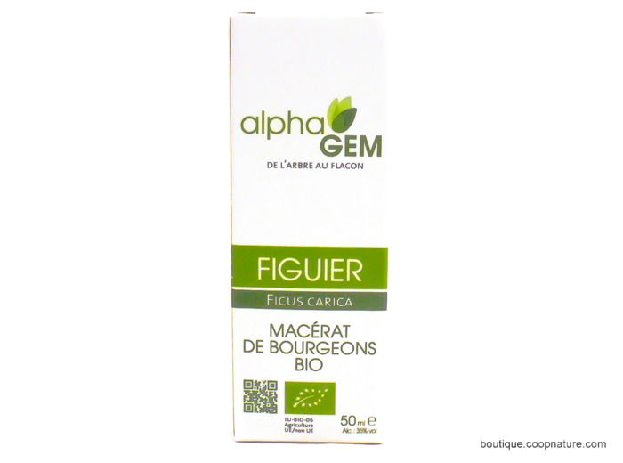Macérât de Bourgeons de Figuier Bio 50ml