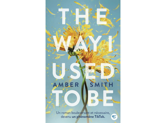 THE WAY I USED TO BE