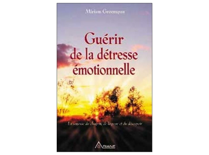 Guérir de la détresse émotionnelle - La sagesse du chagrin, de la peur et du désespoir