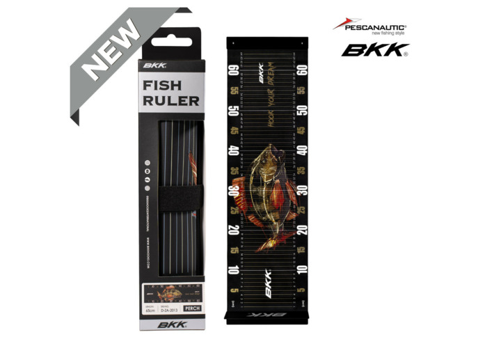 toise fish ruler perch BKK