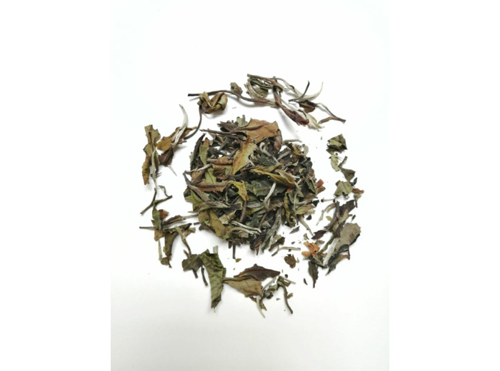 Thé blanc Pai Mu Tan BIO