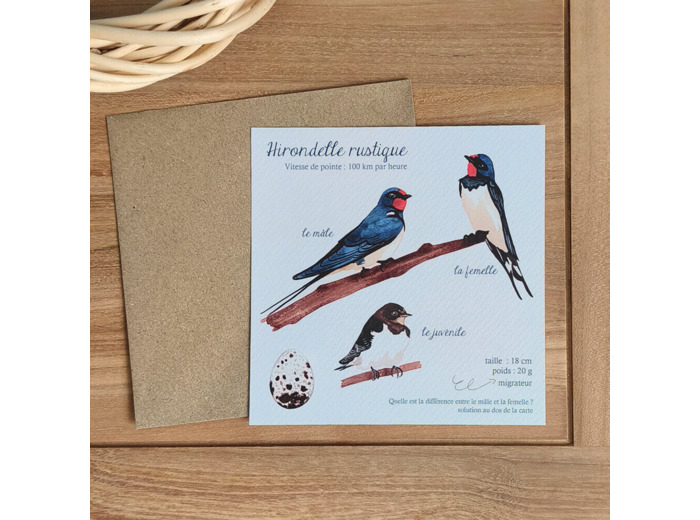 Carte Hirondelles