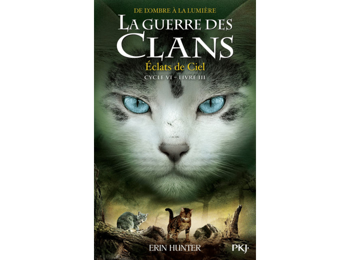 LA GUERRE DES CLANS, CYCLE VI - TOME 3 ECLATS DE CIEL