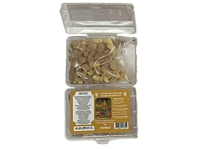 Encens en Grains Larmes de Somalie - Boite transparente de 50gr