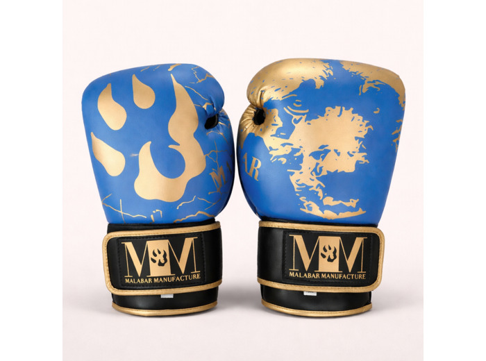 Gants de boxe bleu et or - 2 couleurs de bracelet
