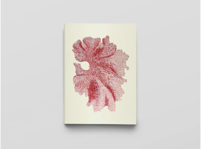 CARNET - ALGUES JAPONAISES - NOTES ET LECTURES