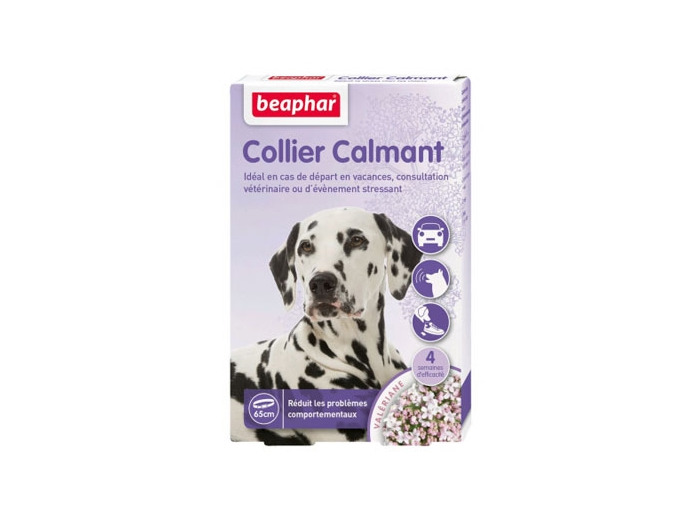 Collier calmant pour chien à base de valériane et lavande
