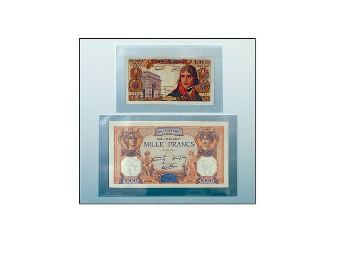 100 ETUIS POUR BILLET Format 200 x 120 mm 1291 (safe)