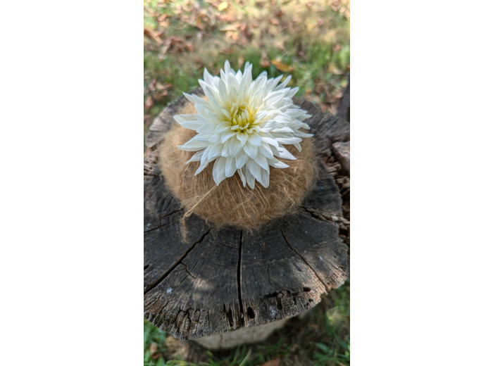 Pelote FLOCON (80% Kid mohair 20% soie) - Chamois