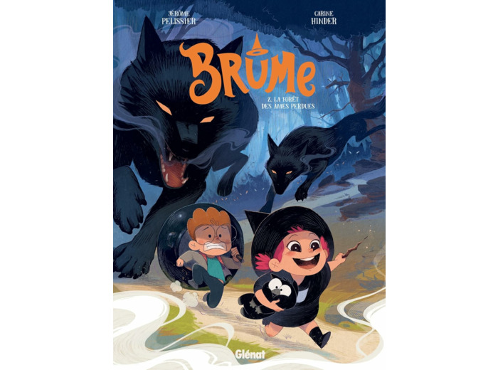 BRUME - TOME 02 - LA FORET DES AMES PERDUES