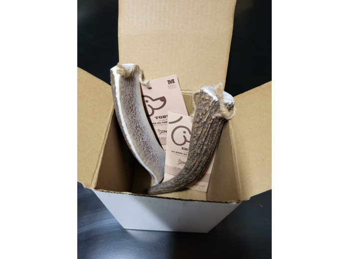 BOX de mastication "Où sont les cerfs" pour chien