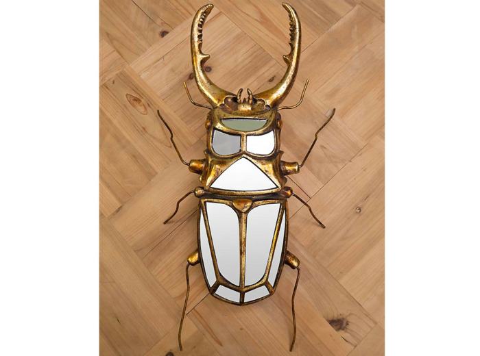 Miroir scarabée à pinces 43x5x22cm