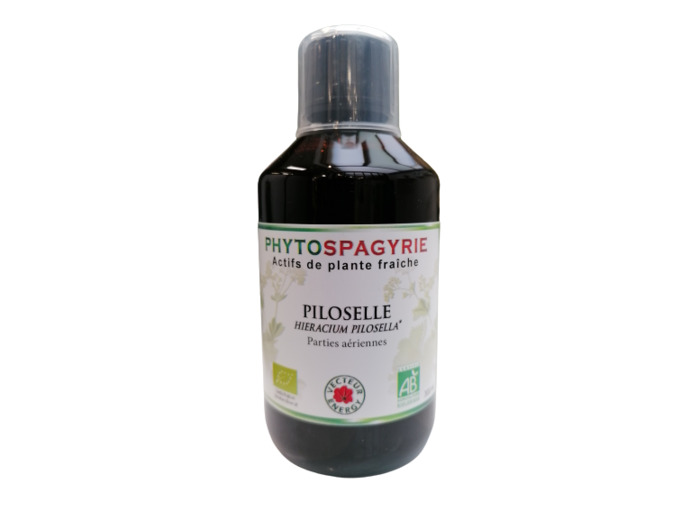 Phytospagyrie-Piloselle-300ml-Vecteur Energy