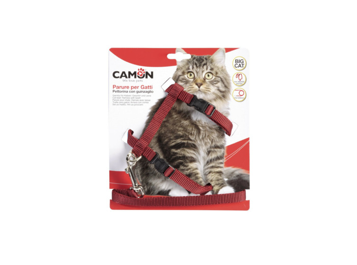 Harnais + Laisse pour grands chats