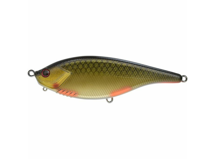 deviant rotengle  xorus