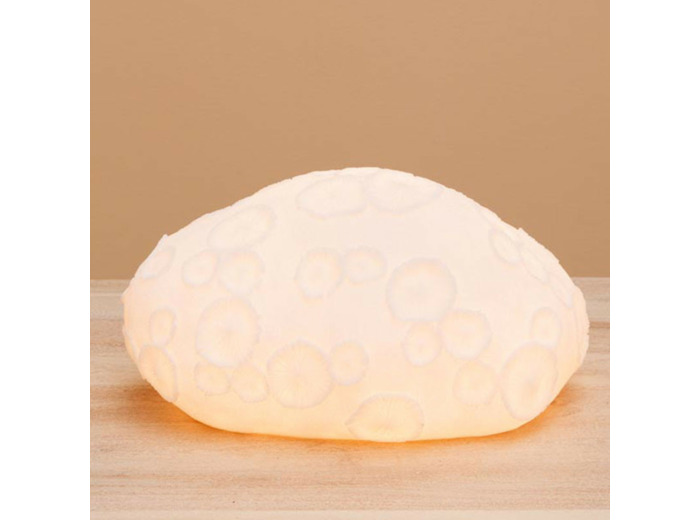 Lampe à poser corail fossile 31x16x25cm