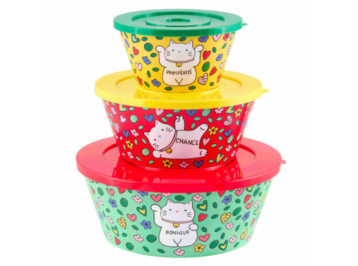 SALADIERS  X3 EMPILABLES