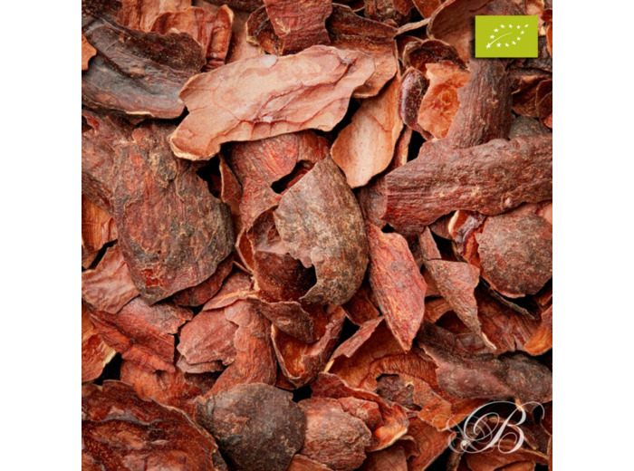 TIsane au chocolat Bio