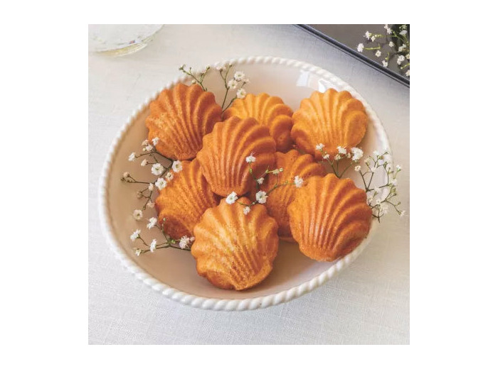 PLAQUE MADELEINE COQUILLAGES