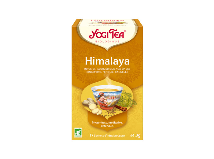 Infusion Himalaya bio-17 sachets-Yogi Tea