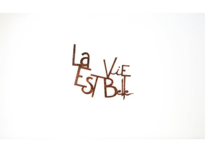 CITATION LA VIE EST BELLE