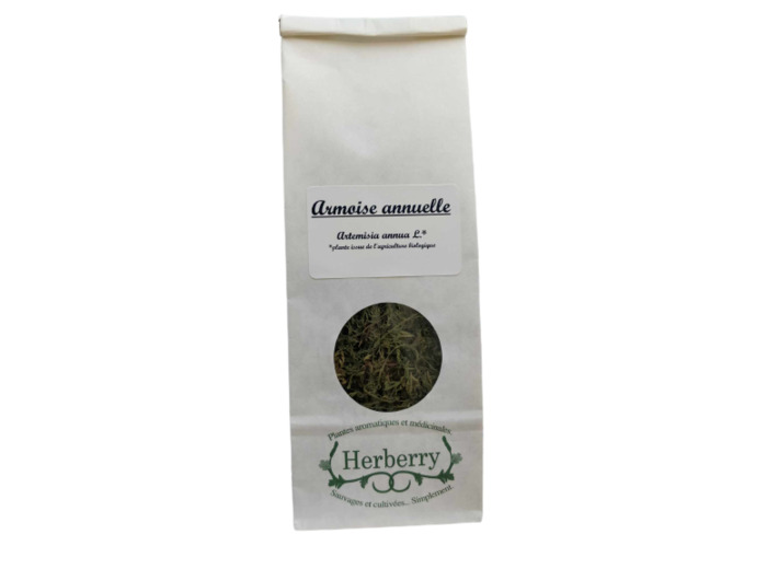 Artemisia annua Bio pour infusions-20g-Herberry