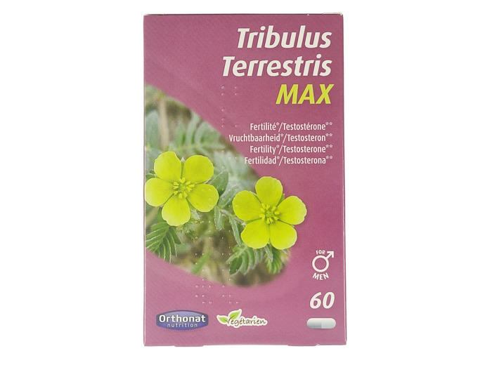 Tribulus Terrestris Max 60 Gélules