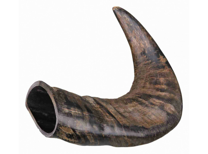 Corne de buffle à mâcher pour chien (taille : M)