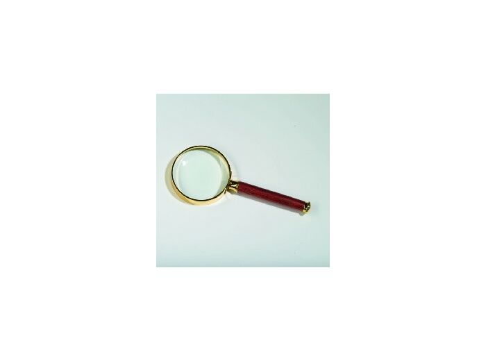LOUPE A MANCHE ROSEWOOD GROSSISSEMENT X 2 343483