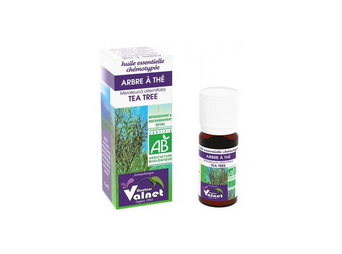 Huile essentielle Arbre à thé (Tea tree) 10ml