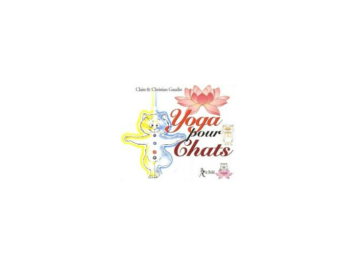 Yoga pour chats