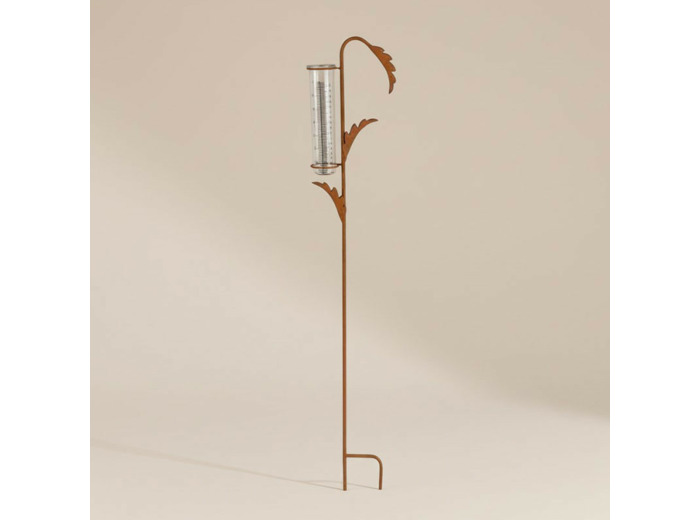 Pluviomètre jardin plante 17x6x100cm