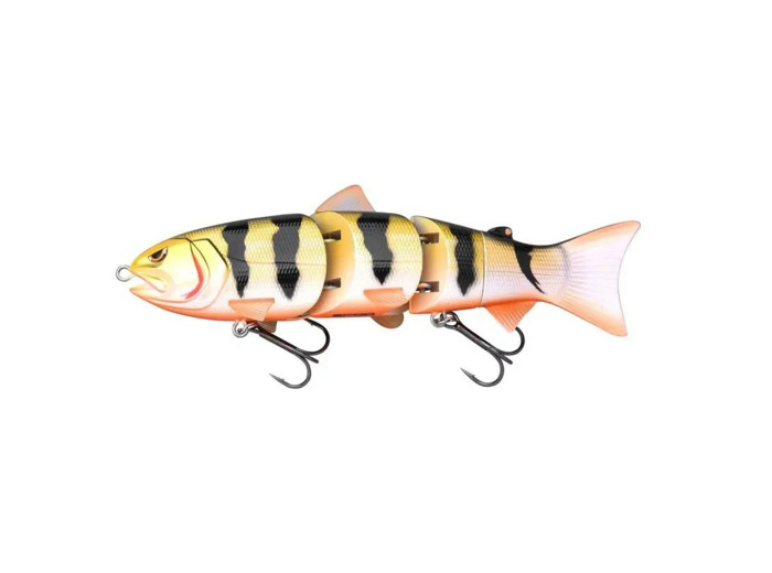 BBZ 8' SS gold perch  spro