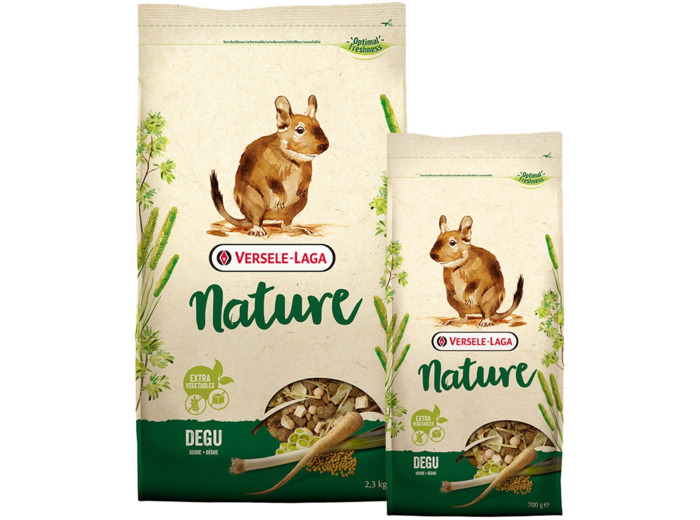 Degu Nature octodons - 2 formats