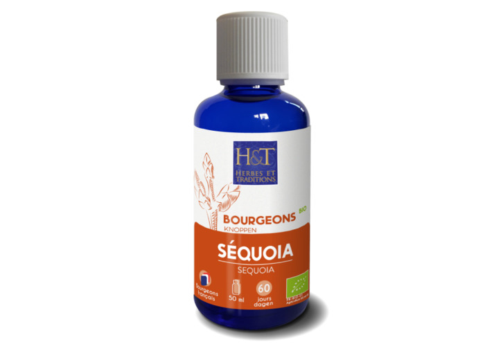 Bourgeon de Séquoia bio-50ml-Herbes et Traditions