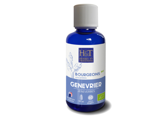 Bourgeon de Genévrier bio-50ml-Herbes et Traditions