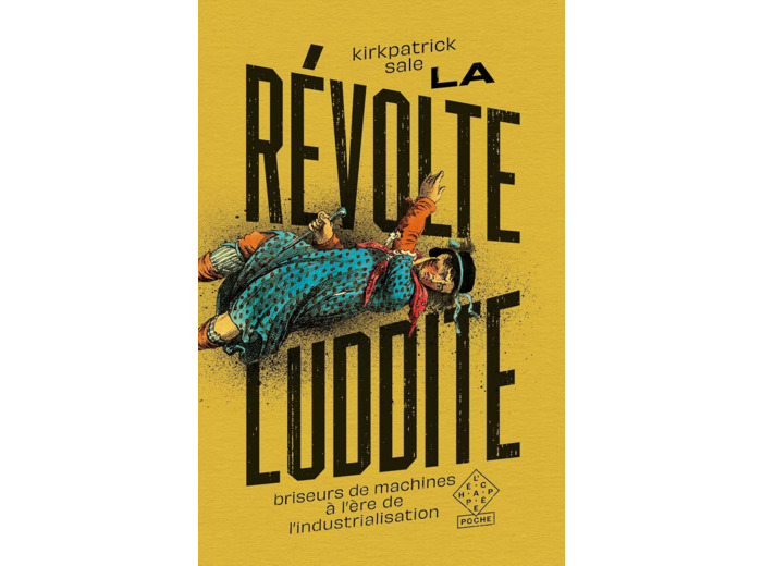 LA REVOLTE LUDDITE - BRISEURS DE MACHINES A L'ERE DE L'INDUSTRIALISATION