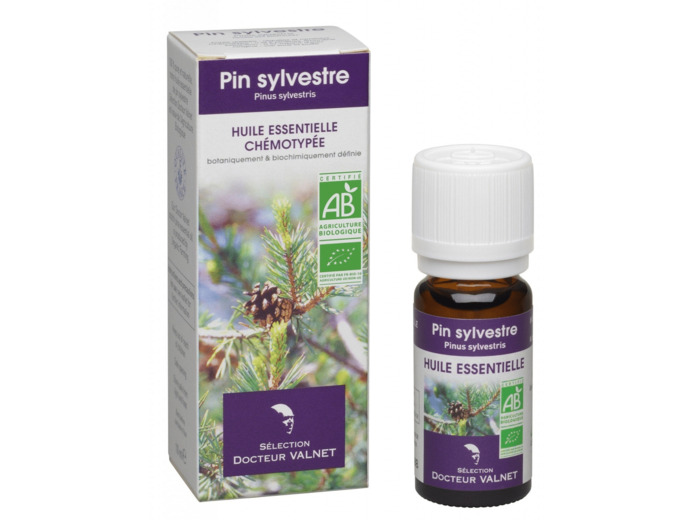 Huile essentielle Pin sylvestre Bio-10 ml-Dr.Valnet