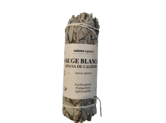 Sauge blanche de Californie-1 fagot-Natura Square