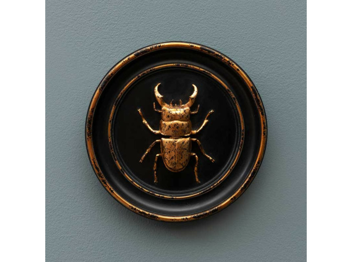 Cadre scarabée résine noir et doré 20x20x20cm