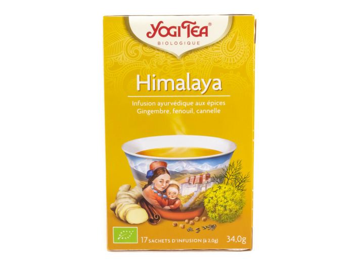 Infusion Ayurvédique aux Épices Himalaya Bio 17 sachets