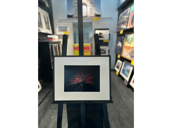 Maya queen 1 - Alfredo sanchez