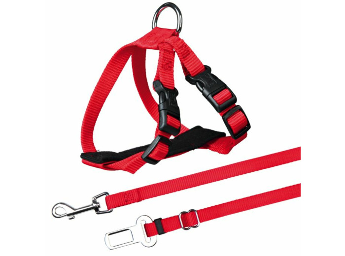 Harnais de sécurité voiture pour chat