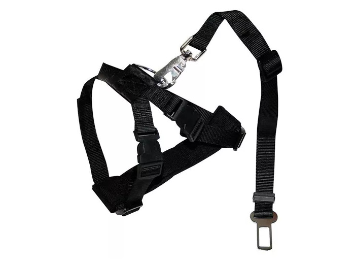 Shampoing Barbershop Pure Détox pour chiens - 200ml