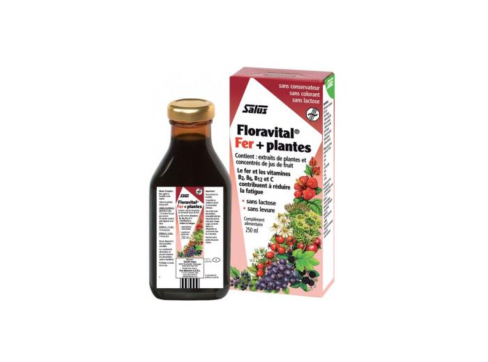 Floradix Floravital, Déficit en fer 250ml