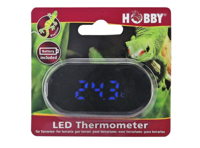 Thermomètre LED pour terrarium