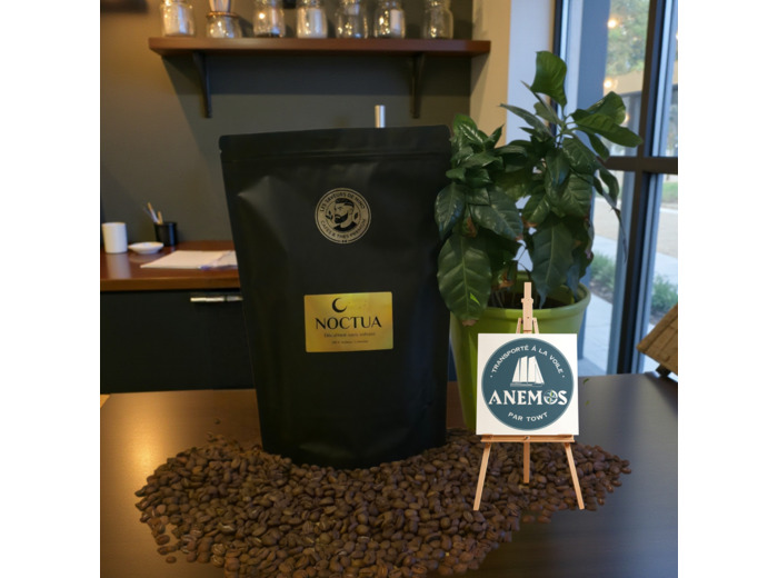 Noctua - Décaféiné sans solvant